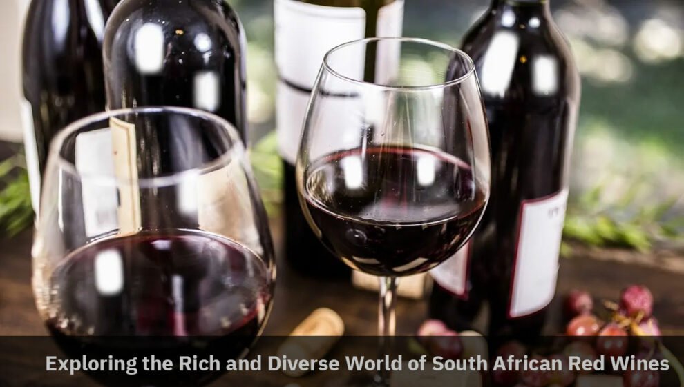 South African Red Wines Buy Now At Southafricanwines Co Uk