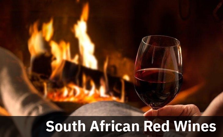 South African Red Wines