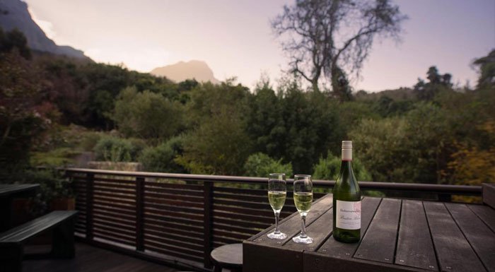 South African Wines near Table Mountain
