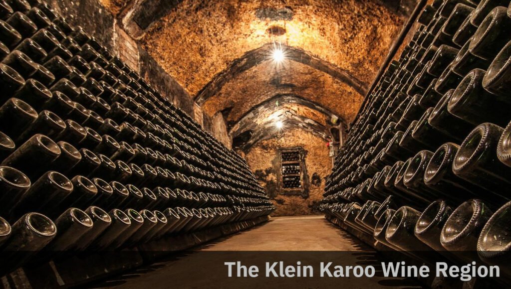 Wine Cellar in Cave Klein Karoo