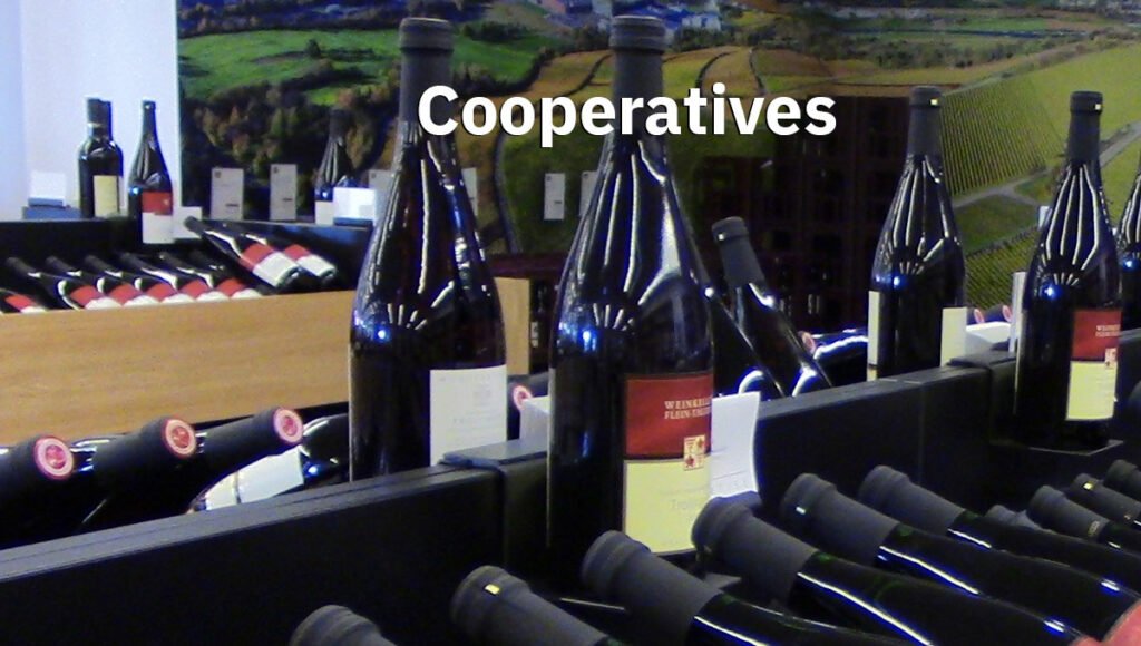 Bottles in a wine cooperative