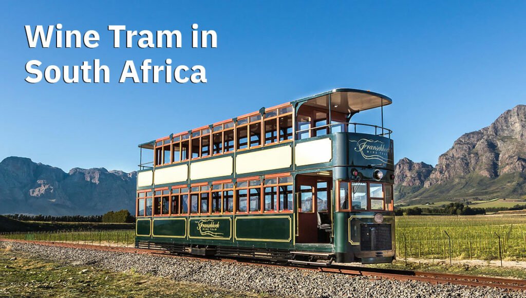 Wine tram in South Africa