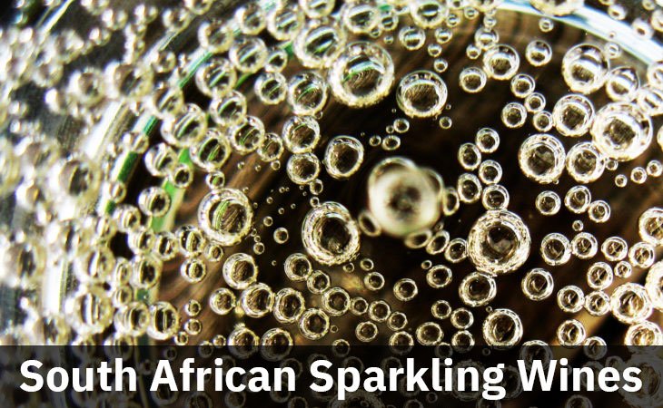 Bubbles in a bottle of south african sparkling wine