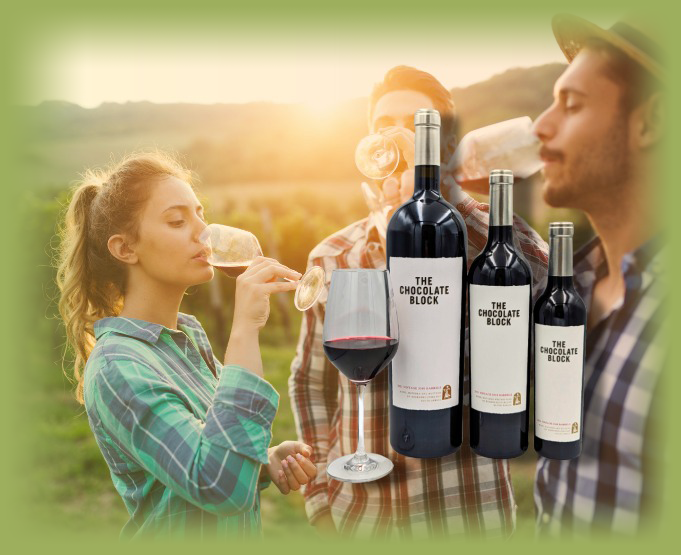 Best south african outlet wines